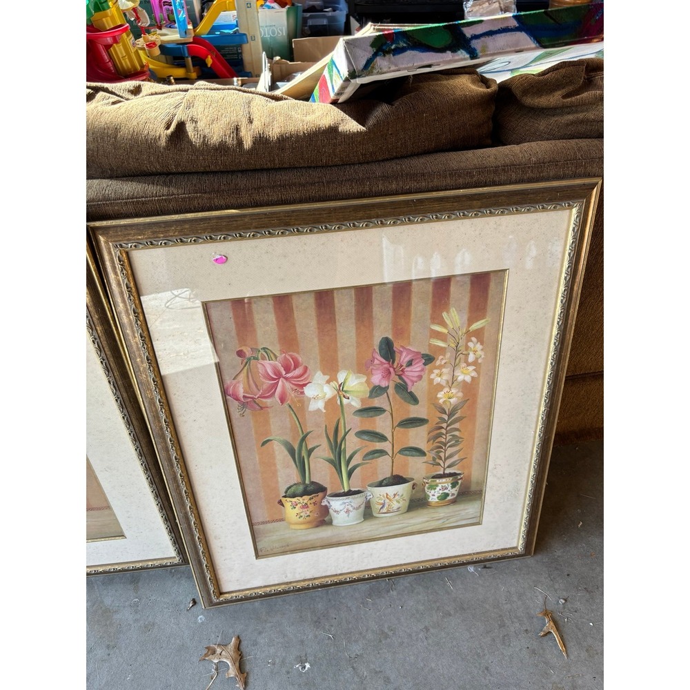 Fabrice De Villeneuve Framed Print . Large With Glass 2 Of 2 26x32